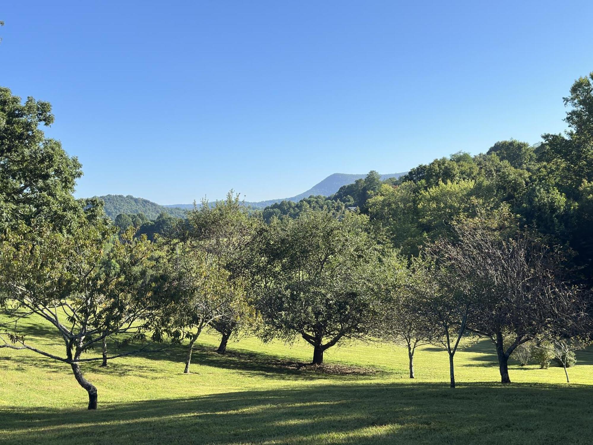Fire Mountain Ξενοδοχείο Highlands Εξωτερικό φωτογραφία